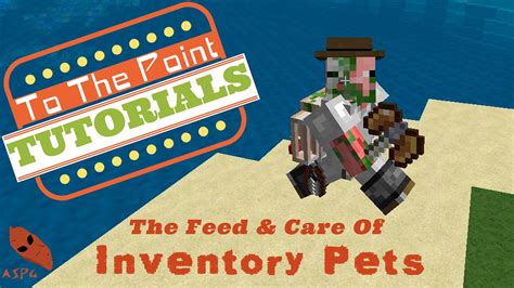 how to feed inventory pets - grave pet inventory pets.